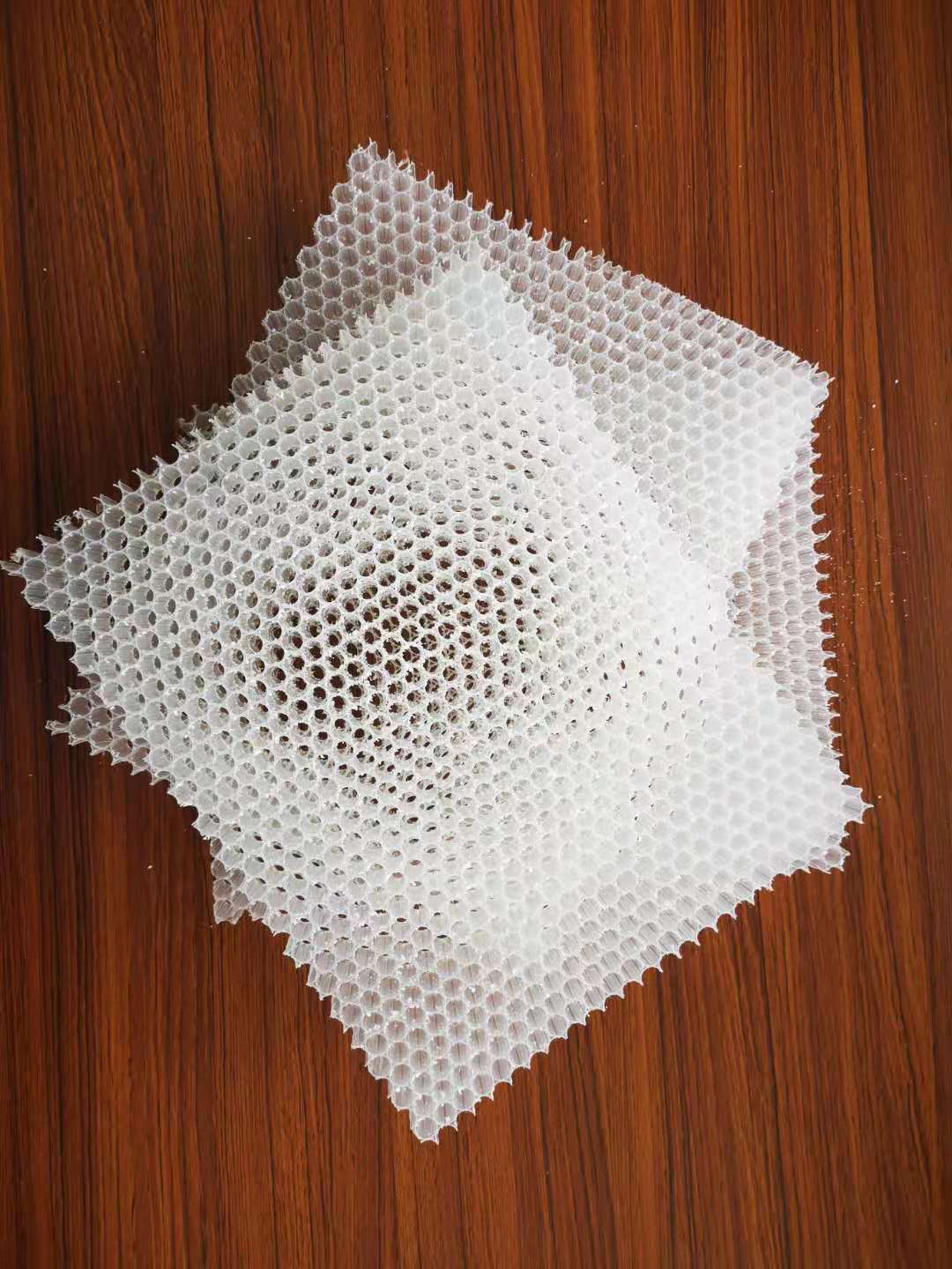 PP热塑性复合蜂窝芯材挤出生产线